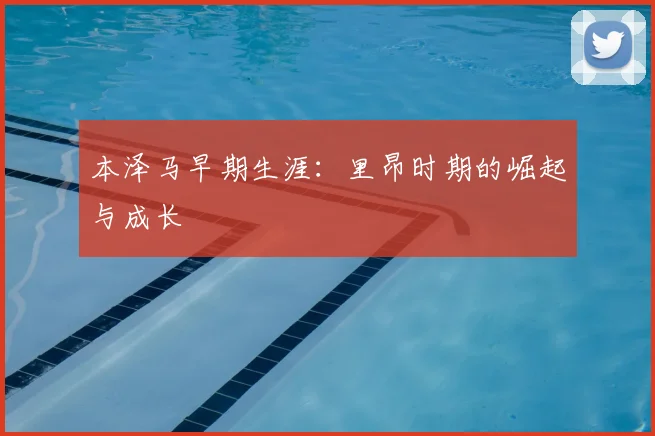 本泽马早期生涯：里昂时期的崛起与成长